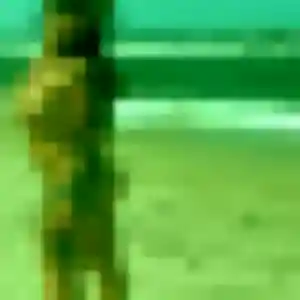 Photo de Ornella à Villers-Sire-Nicole (41 ans) - plan cul anonyme