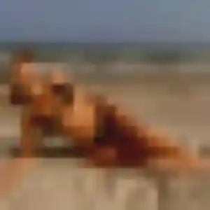 Roxane, 27 ans, connectée à Villorceau pour une rencontre coquine