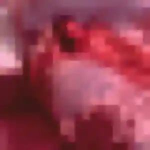 Photo perso de Fanny, 40 ans à Vimines - plan discret