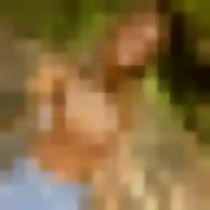 Contacte Yasmina, 41 ans à Vitry-le-François en privé