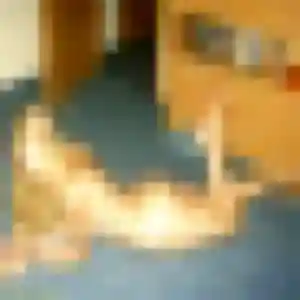 Sarjo, 25 ans, connectée à Vorges-les-Pins pour une rencontre coquine