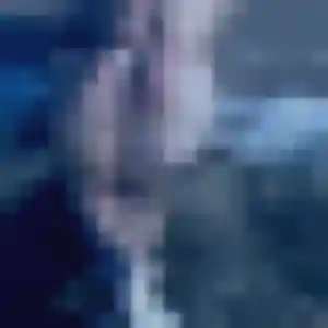 Photo de Sabrina à Wardrecques (33 ans) - plan cul discret