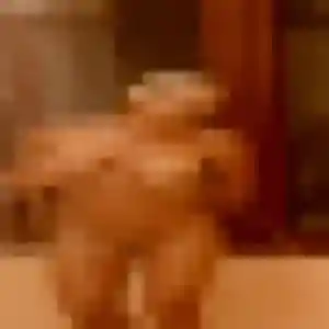 Muthoni (36 ans) à Wentzwiller cherche une rencontre maintenant