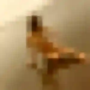 Kafui, fille de 29 ans cherche plan cul à Wignehies