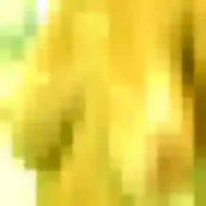 Sarjo, 34 ans, connectée à Wimille pour une rencontre coquine