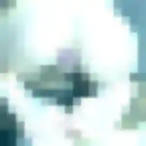 Sexy Awa, 41 ans à Wingen-sur-Moder - la contacter