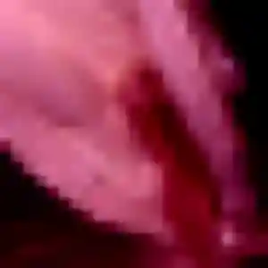 Titi, 44 ans, cherche un plan cul à Yébleron