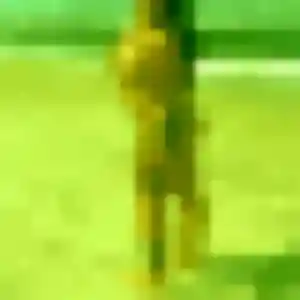 Photo de Nneka à Zetting (39 ans) - plan cul gratuit