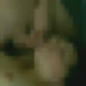 Yaa, 33 ans, cherche un plan cul à Zudausques