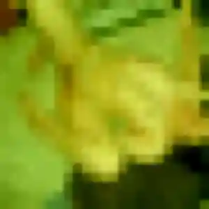 Sabrina, 33 ans, dispo pour plan cul à Zutkerque